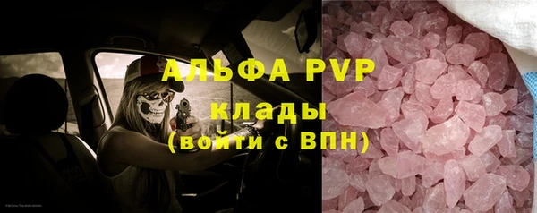 СК Богородицк