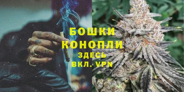 винт Богданович