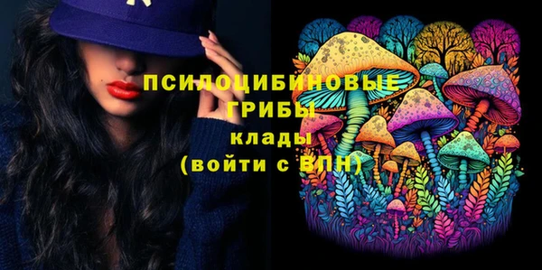 СК Богородицк