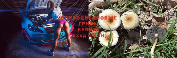 jwh Богородск