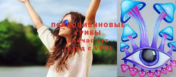 винт Богданович