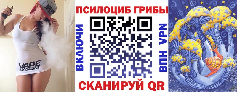 Галлюциногенные грибы Psilocybe  Клинцы 